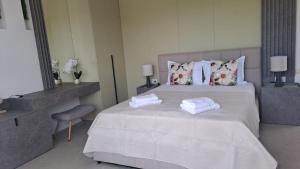 Accent 221 Deva