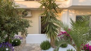 Kineta Prime Suites No8