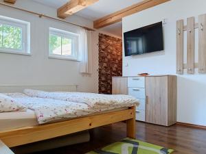 Apartment Černý Důl-2 by Interhome