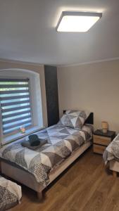 Apartament nad potokiem Skałka