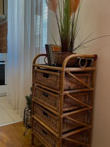 Apartment KANI
