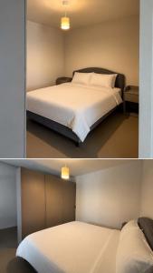 C Studio