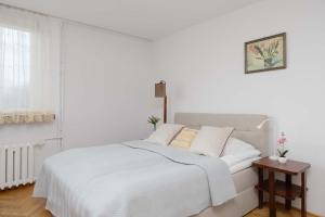 Atmospheric Apartment in the City Center with Air Conditioned Living Room by Noclegi Renters