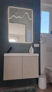 Accent 221 Deva