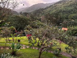 Navarro mountain