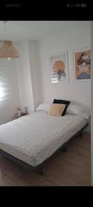 Hab lagunillas 1
