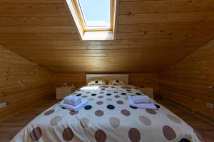 DB Forest Resort 4