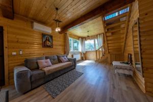 DB Forest Resort 4