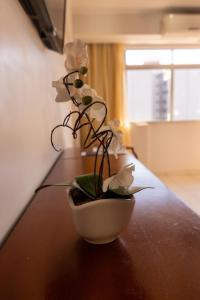 Foz Presidente Comfort Hotel