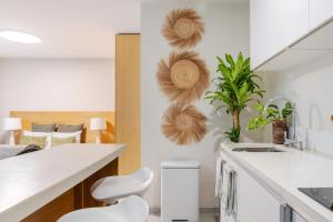 Guadalajara Downtown Walking - Feng Shui - Design - Colombian Coffee