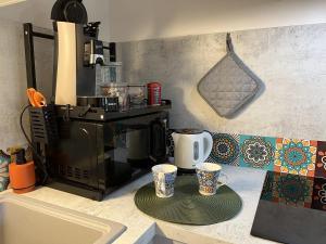 La Couate, T1 bis cosy, calme et lumineux, au centre avec garage