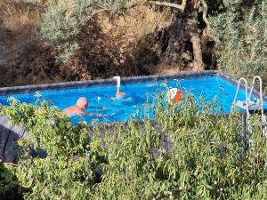 B&B Cortijo Nunca Pense