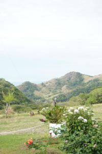 Campo Azul #2 - Monteverde