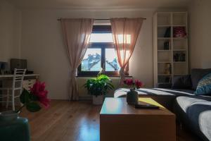 Hiša Breza - Apartments Ljubljana