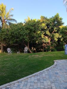 Luxurious 4-Bedroom Villa with Private Pool in Hatillo