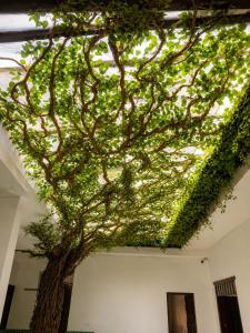 Casa Sierra Norte