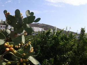 Apartments Matilda Milos Greece