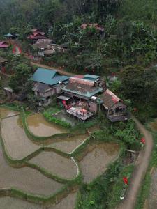 Homestay mây phía đồi