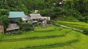 Homestay mây phía đồi
