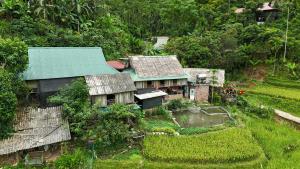 Homestay mây phía đồi