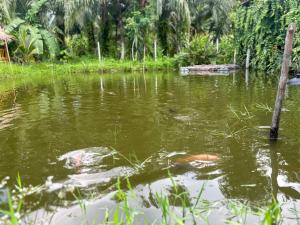 Ao Luek Hideaway
