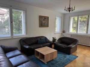 Apartamenty Willa przy parku