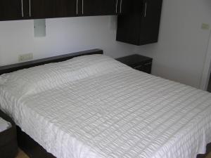 Apartments Despot Zaostrog RB