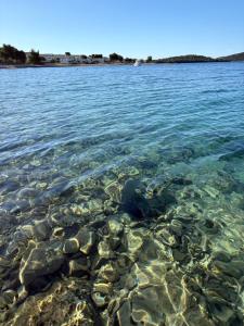 La Mar Holiday