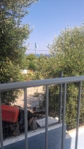 Nopis house in Potidea