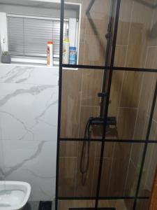 Apartman Aleksic