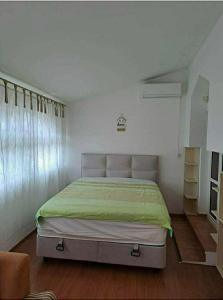 Cozy apartment