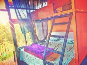 Apm resort kodai
