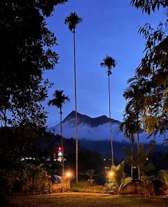 Entire place in Meppadi, Kalpetta, Wayanad