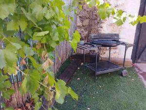 Casa rural La Colmena - The place to bee