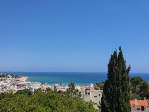 Panoramic View Apartment - 160