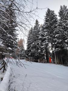 La casina nel bosco Monolocale al residence lores 1