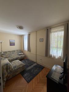 Rakic apartment