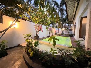 Palm Green Hotel