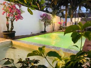 Palm Green Hotel