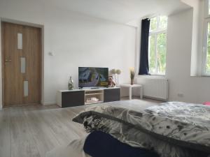 Grudziadz City Center A2-Apartamenty 54m WiFi