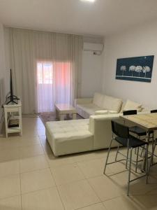 City View Apartment in City Center Shkoder