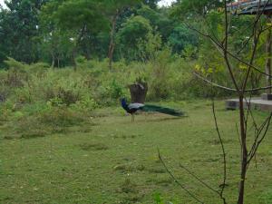Katagamuwa Rest