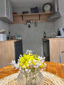 Apartament w Kamienicy