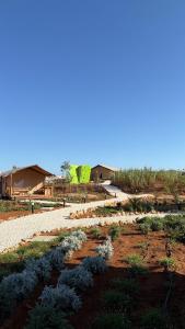 Eutierra living