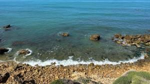 Eutierra living