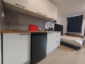 Grudziadz City Center M2-Apartamenty 25m WiFi