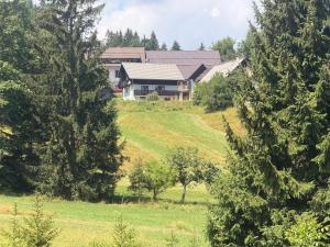 Apartma Jure
