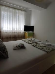 Apartment 16