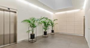 Royal Hamilius Luxury 1 bed