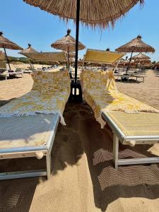 Sea, Salt & Pines- San Pietro Resort Gjiri Lalezit